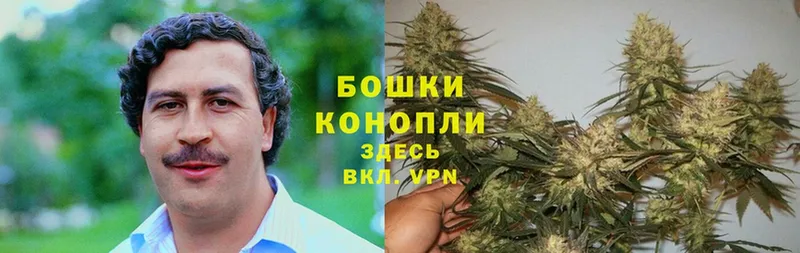 Каннабис Ganja  Костерёво 